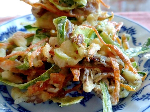 食べ切り☆冬瓜の皮かき揚げ